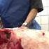 How To Butcher A Musk Ox Ilulissat Greenland Butchery Cheflife Muskox