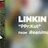 PPr Kut Linkin Park Reanimation