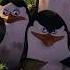 DreamWorks Madagascar You Didn T See Anything Right Madagascar Movie Clip