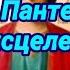 Молитва Святому Пантелеймону об исцелении от болезни и скором выздоровлении больного