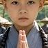 Kung Fu Movie 100 Top Japanese Pirates Underestimate A Young Monk Unaware Of His Incredible Skills