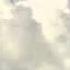 Tzant Hot Wet Believe It J F K S Original Monsoon