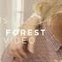 Ziggy Alberts Four Feet In The Forest Official Music Video