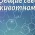 Биология 7 кл Пасечник 34 Общие сведения о животном мире