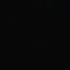 Queen Of The Night Fresh Fox Lyrics