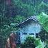 Rainforest Ambience Rain Sounds Jungle Animals And Thunder In The Distance Relaxing Sleep Sounds