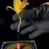 Flower Music Tesla Coil Experiment Shorts