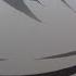 Tokyo Ghoul Anime Webm