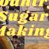 Making Country Sugar From Sugarcane Indian Alternate To White Sugar Nattu Sakkarai