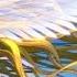 Nightcore Beautiful Now