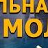 Аномальная зона Молёбка Фильм Николая Субботина СШГ 07 11 2018