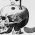 Joe Rogan Benefits Of Trepanation Isn T That Drilling Holes In Your Head Amanda Feilding