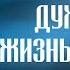 Что есть духовная жизнь и как на нее настроиться Ч3 свт Феофан Затворник