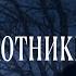 Сага о вампирах 8 серия Ночные охотники автор Анна Костенко Мистика Приключения