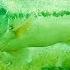 How To Catch Bass With Plastic Worms INSANE UNDERWATER FOOTAGE