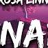 Rosa Linn SNAP High And Fast Lyrics