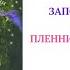 5 ГЛАВА ПЛЕННИК ЗАБЫТОЙ ЧАСОВНИ вечернее чтение внеклассное детская аудиокнига для детей