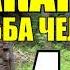 МАКАРЫЧ В ТАЙГЕ КАТОРГА САХАЛИН ПОБЕГ ДОБЫЧА УГЛЯ ПРИКОВАЛИ К СКАЛЕ 1 из 34