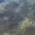 Shark Seen In Sta Rosa