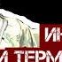 Интервью с Терминатором