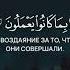 Чтец Корана Мухаммад аль Люхайдан напоминание ахира медина мухаммад сунна чечня ингушетия