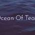 RILTIM Ocean Of Tears Original Mix