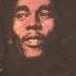 Bob Marley Iron Lion Zion