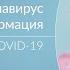 Коронавирус общие сведения о COVID 19 Информация о КОВИД 19