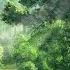 Forest Music Relaxing Magical Music Elven Woods