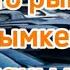 Авто рынок Шымкент Мынаны қара Automobile Car автобазар Rek авто базары рынок