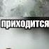 Пауки в ботинках