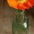 Can You Paint This Intensely Orange Poppy High Chroma Challenge Live Oil Painting Demonstration