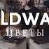 Wildways Цветы Live Acoustic