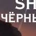 SHAMAN ЧЁРНЫЙ ВОРОН Большой праздничный концерт Песни о Победе в Музее Победы 9 мая 2024