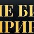 Чтение Библии на природе Современный перевод Библии Biblevision