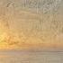 The Melody Of Balearic Music Episode 019 Selected Mixed By Matt V 08 05 2025