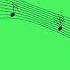 Animated Music Notes In Green Screen Free Footage