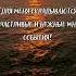 аффирмации на каждый день саморазвитие осознанность мотивация вдохновение