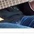 Eternal Rains Will Come Opeth Bass Cover With Tabs By Leo Düzey