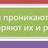 Виды корней и типы корневых систем