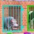 Cow Elephant Tiger Gorilla Hippo 3d Animal Long Slide Game Funny 3d Paint Animals Cage Game