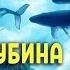 ГЛУБИНА ЗНАКА РЫБ презентация Ольги