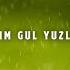 Sog Indim Gul Yuzlaringni