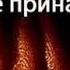 Мэри Хиггинс Кларк Ты мне принадлежишь 2