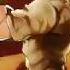 Jojo Stardust Crusaders S02 Opening Theme