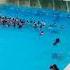 Korea Wave Pool