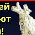 Ты не знал об этом 5 простых шагов для спасения твоего сердца