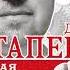 Дмитрий Потапенко Честная книга о том как делать бизнес в России Аудиокнига