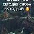 У мурены каждый день выходной Мурена Настя в телеграме Aviaparkmsk