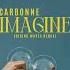 Carbonne Imagine Hiding Waves Remix